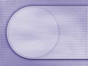 新品发布